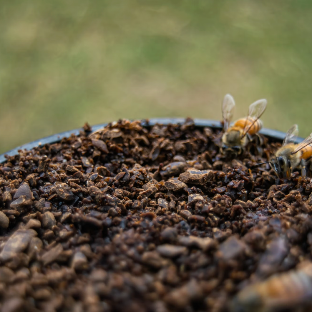 Honey-soil Project