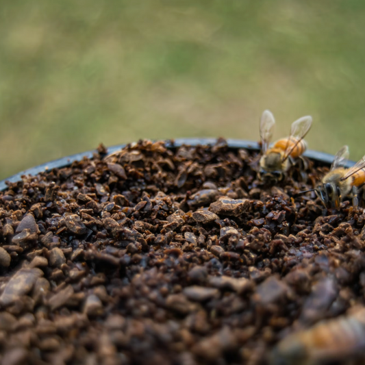 Honey-soil Project