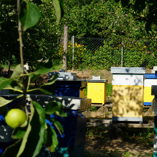 Apiary Partner (Businesses and Bee Clubs)